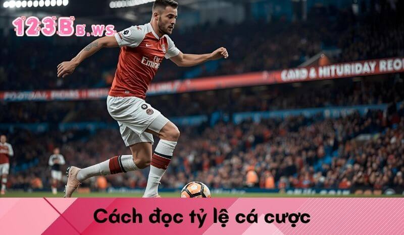 Cách đọc tỷ lệ cá cược