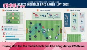 Hướng dẫn tân thủ chi tiết cách đọc kèo bóng đá tại 123Bb.ws